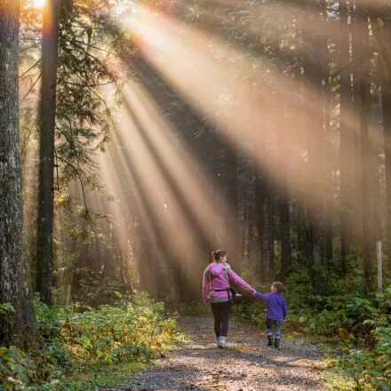 Une femme et une petite fille marchent main dans la main sur un sentier de terre dans la forêt.