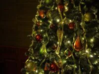 Collecte de sapins de Noël
