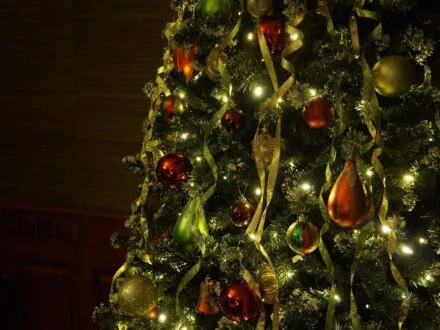 Collecte de sapins de Noël