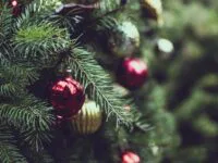 C’est le temps de s’inscrire aux paniers de Noël