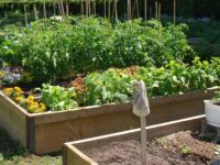 Réservez votre espace pour le jardin communautaire