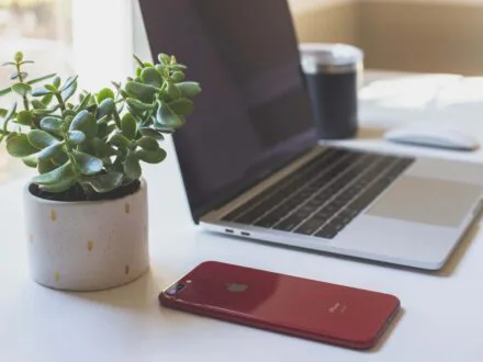 Entreprises : plateformes à utiliser