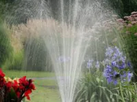 Vague de chaleur : effort collectif pour limiter la consommation d’eau