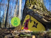 Le retour de la magie des gnomes !