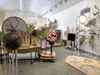 Une belle nouvelle pour le Centre de la biodiversité!
