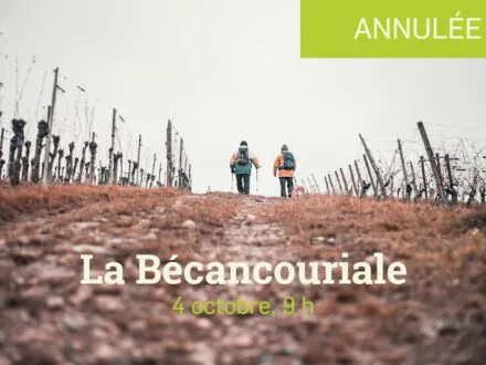 La Bécancouriale annulée