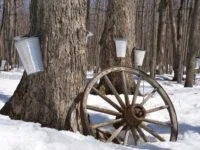 Cabane à sucre de la MRC disponible !