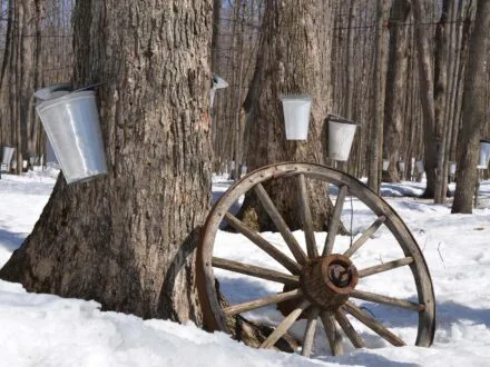 Cabane à sucre de la MRC disponible !