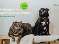 Recencement animalier en cours