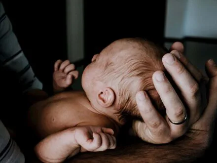 L’Arbre de vie comme cadeau de naissance