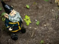 Concours pour enfants | Cet été, on adopte un gnome !