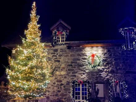 Navette gratuite pour se rendre au Moulin Michel ce week-end