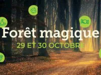 Une forêt magique!