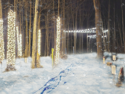 Un parcours illuminé au Parc écologique Godefroy !