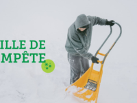 Veille de tempête hivernale