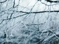 Tempête hivernale – établissement d’un poste d’accueil