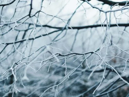 Tempête hivernale – établissement d’un poste d’accueil