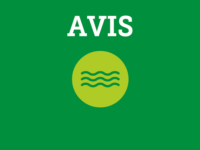 Débordement du fleuve sur les avenues Montesson, de l’Anse et sur des Hirondelles Nord