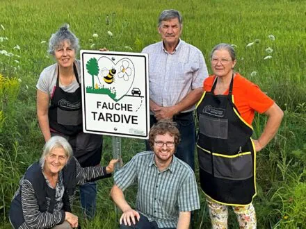 Un pas pour la survie des insectes