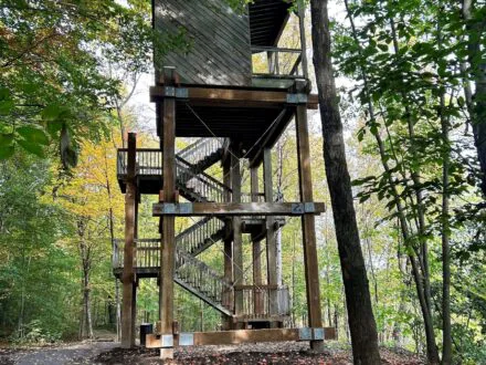 La tour d’observation du Parc écologique Godefroy s’est refait une beauté