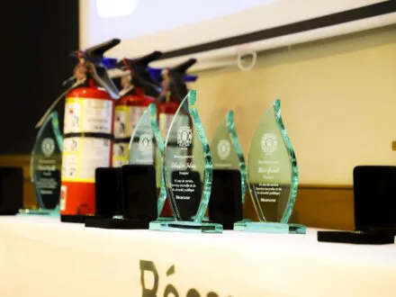 Dix pompiers mis à l’honneur