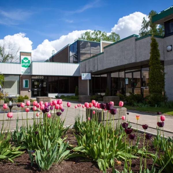 Vie locale en direct