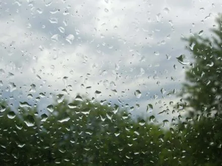 La Ville de Bécancour lance le Programme d’aide financière pour l’adaptation aux changements climatiques