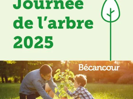 La Ville de Bécancour offre gratuitement des arbres… et des informations environnementales !
