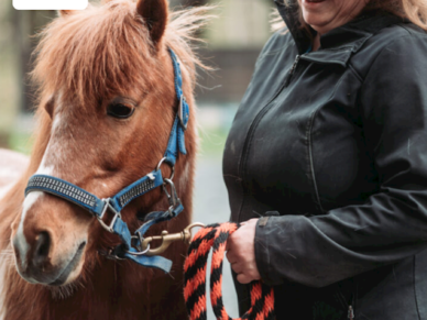Poney des neiges | Parc régional de la rivière Gentilly