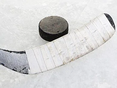 Tournoi de snout | Carnaval de Gentilly