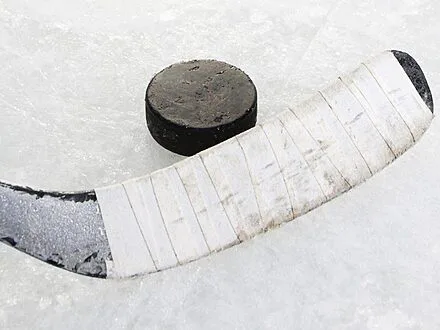 Tournoi de snout | au Carnaval de Gentilly