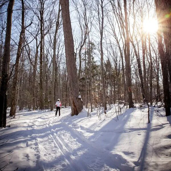 Vie locale en direct