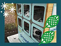 Des raquettes prêtées gratuitement au Parc de la rivière Bécancour