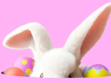 Le Royaume du Printemps s’installe au Moulin Michel