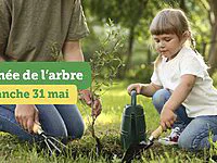 La Journée de l’arbre est de retour à Bécancour avec 2 000 arbres distribués gratuitement