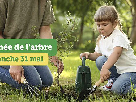 La Journée de l’arbre est de retour à Bécancour avec 2 000 arbres distribués gratuitement